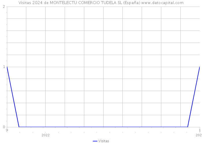 Visitas 2024 de MONTELECTU COMERCIO TUDELA SL (España) 