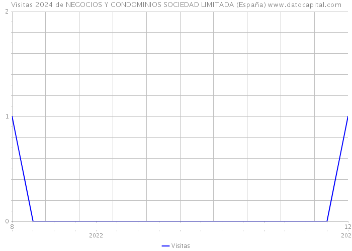 Visitas 2024 de NEGOCIOS Y CONDOMINIOS SOCIEDAD LIMITADA (España) 