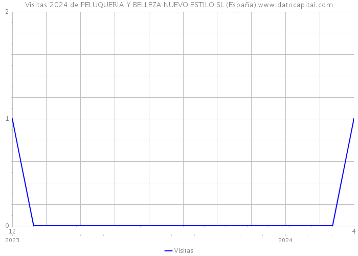 Visitas 2024 de PELUQUERIA Y BELLEZA NUEVO ESTILO SL (España) 
