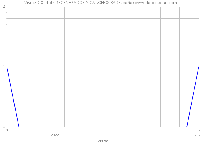 Visitas 2024 de REGENERADOS Y CAUCHOS SA (España) 