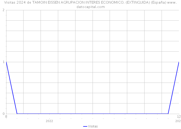 Visitas 2024 de TAMOIN EISSEN AGRUPACION INTERES ECONOMICO. (EXTINGUIDA) (España) 
