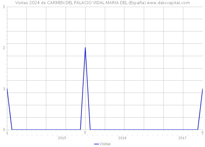 Visitas 2024 de CARMEN DEL PALACIO VIDAL MARIA DEL (España) 