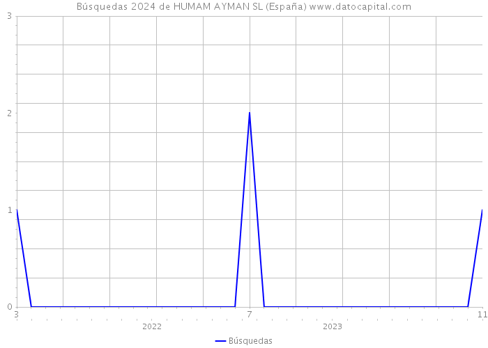 Búsquedas 2024 de HUMAM AYMAN SL (España) 