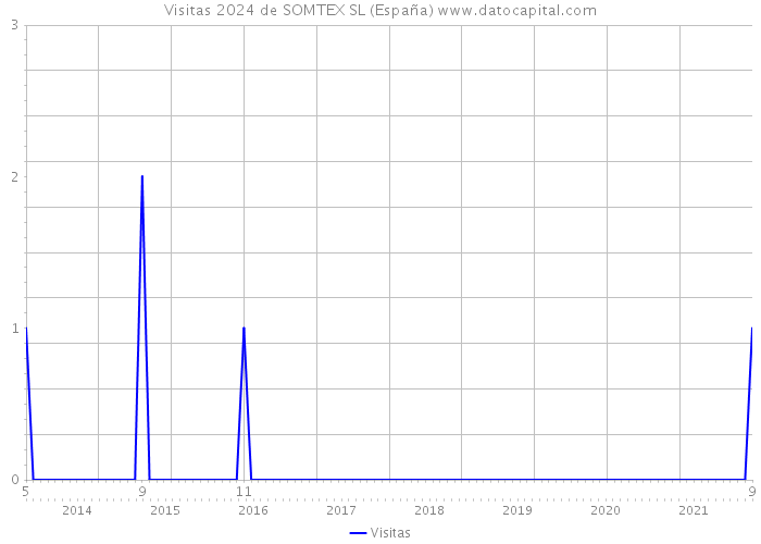 Visitas 2024 de SOMTEX SL (España) 