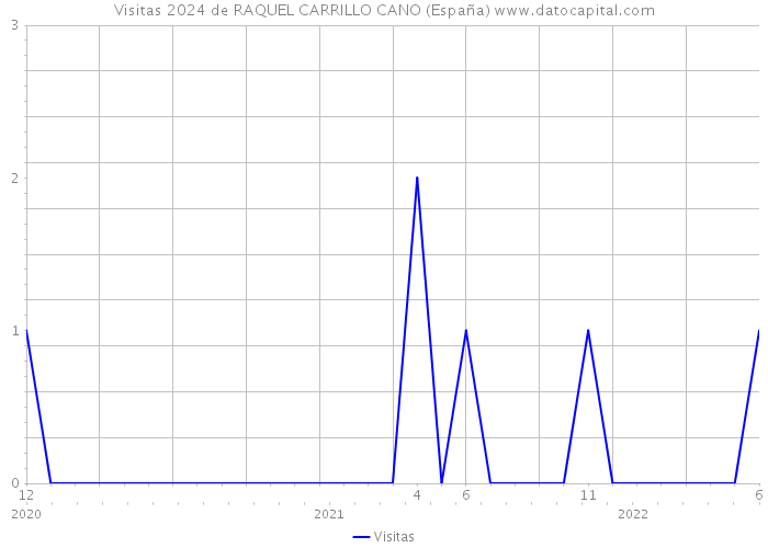 Visitas 2024 de RAQUEL CARRILLO CANO (España) 
