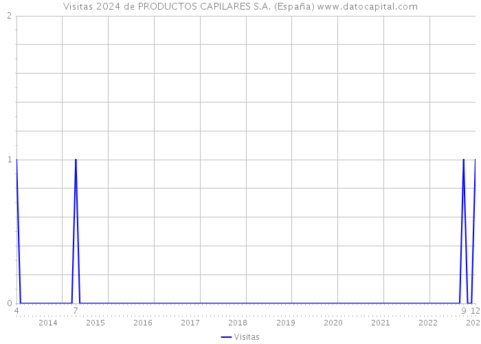 Visitas 2024 de PRODUCTOS CAPILARES S.A. (España) 