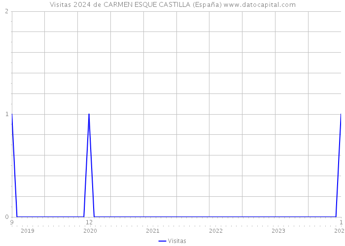 Visitas 2024 de CARMEN ESQUE CASTILLA (España) 