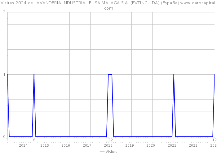 Visitas 2024 de LAVANDERIA INDUSTRIAL FLISA MALAGA S.A. (EXTINGUIDA) (España) 