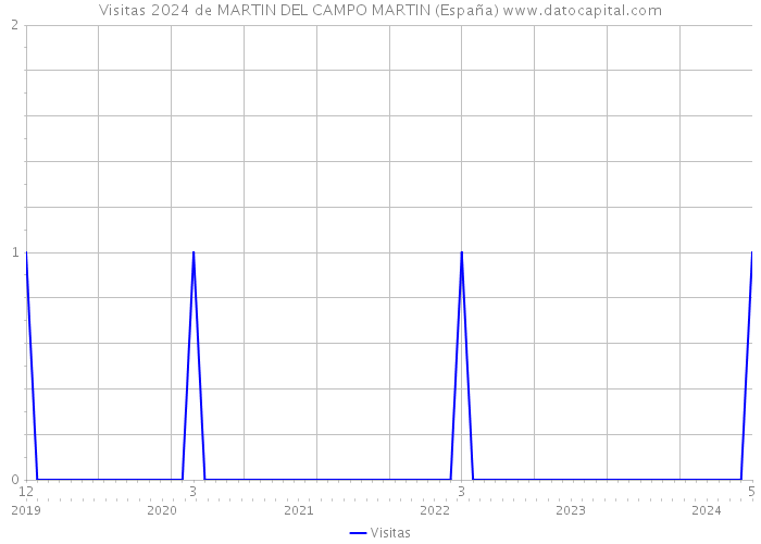 Visitas 2024 de MARTIN DEL CAMPO MARTIN (España) 