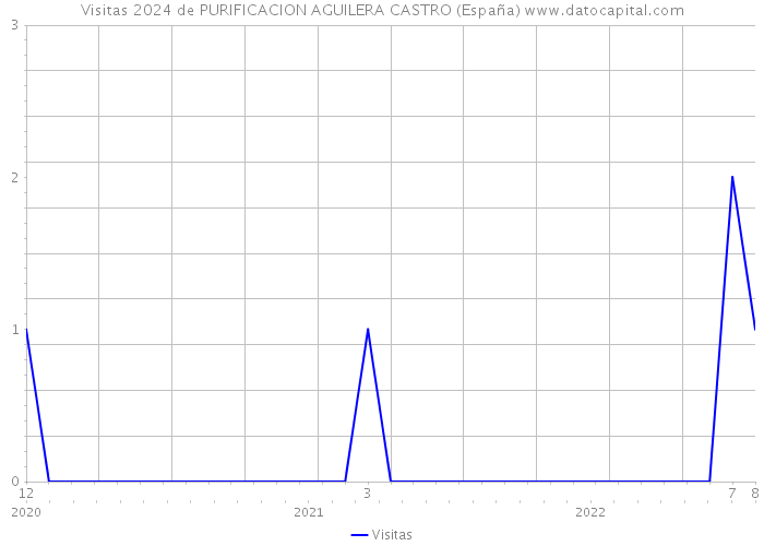 Visitas 2024 de PURIFICACION AGUILERA CASTRO (España) 