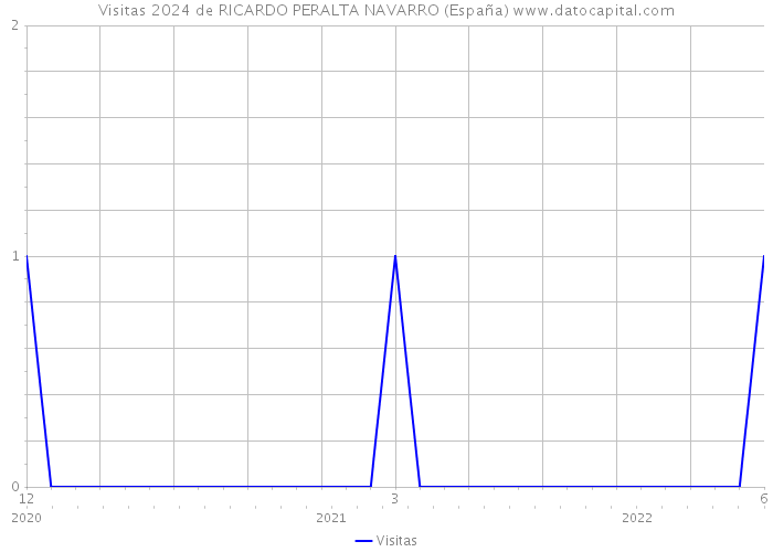 Visitas 2024 de RICARDO PERALTA NAVARRO (España) 