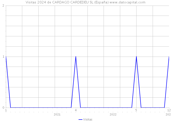 Visitas 2024 de CARDAGO CARDEDEU SL (España) 