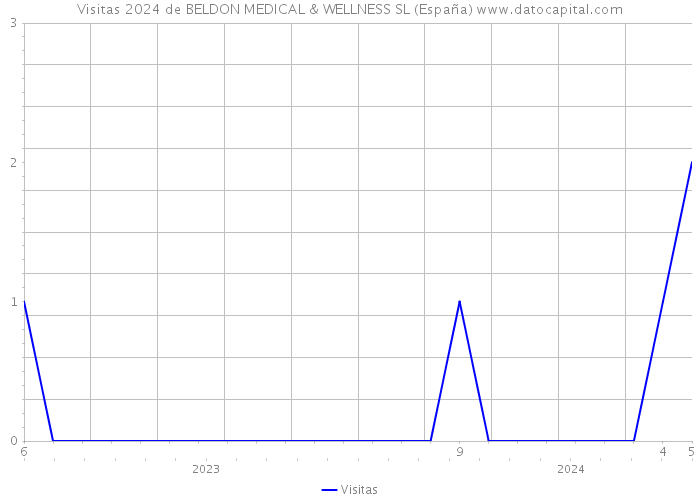 Visitas 2024 de BELDON MEDICAL & WELLNESS SL (España) 