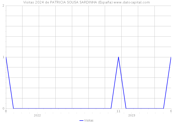 Visitas 2024 de PATRICIA SOUSA SARDINHA (España) 