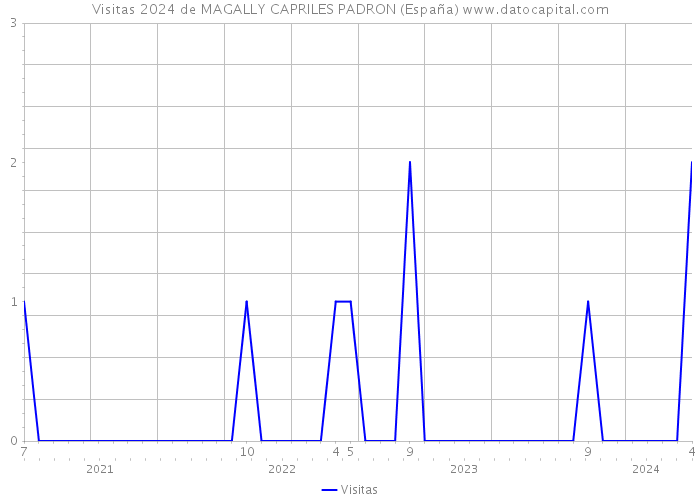 Visitas 2024 de MAGALLY CAPRILES PADRON (España) 