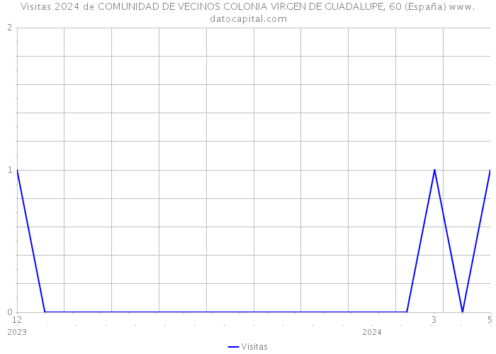 Visitas 2024 de COMUNIDAD DE VECINOS COLONIA VIRGEN DE GUADALUPE, 60 (España) 