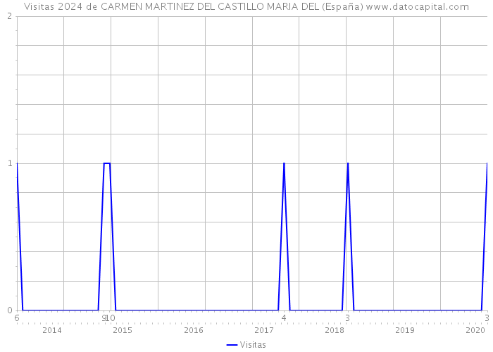 Visitas 2024 de CARMEN MARTINEZ DEL CASTILLO MARIA DEL (España) 