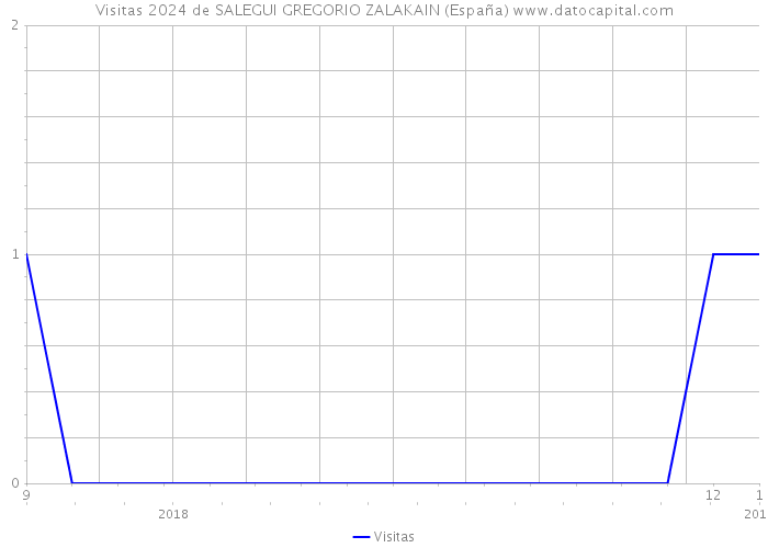 Visitas 2024 de SALEGUI GREGORIO ZALAKAIN (España) 