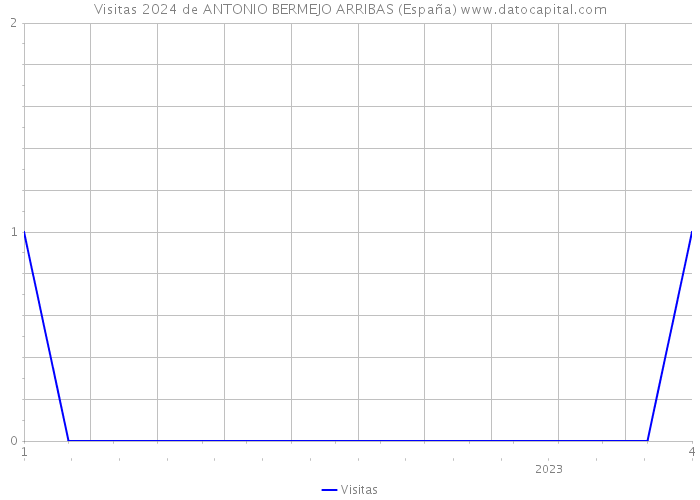 Visitas 2024 de ANTONIO BERMEJO ARRIBAS (España) 