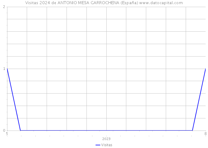 Visitas 2024 de ANTONIO MESA GARROCHENA (España) 