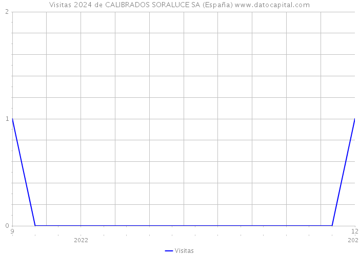 Visitas 2024 de CALIBRADOS SORALUCE SA (España) 