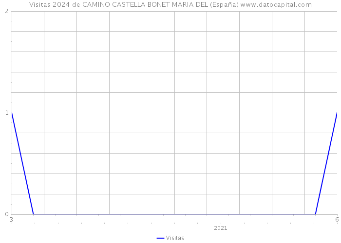 Visitas 2024 de CAMINO CASTELLA BONET MARIA DEL (España) 