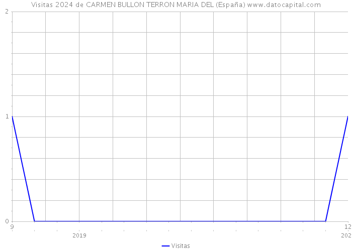 Visitas 2024 de CARMEN BULLON TERRON MARIA DEL (España) 