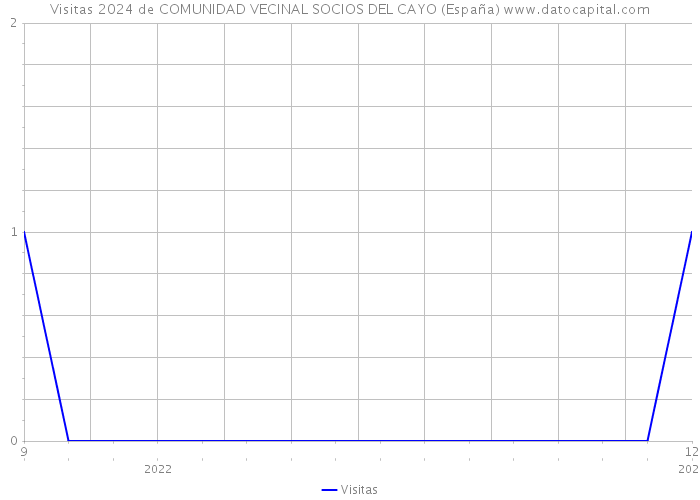 Visitas 2024 de COMUNIDAD VECINAL SOCIOS DEL CAYO (España) 