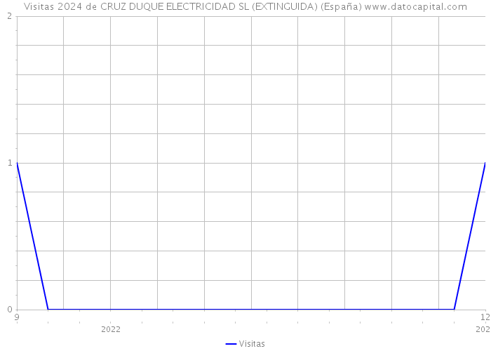 Visitas 2024 de CRUZ DUQUE ELECTRICIDAD SL (EXTINGUIDA) (España) 