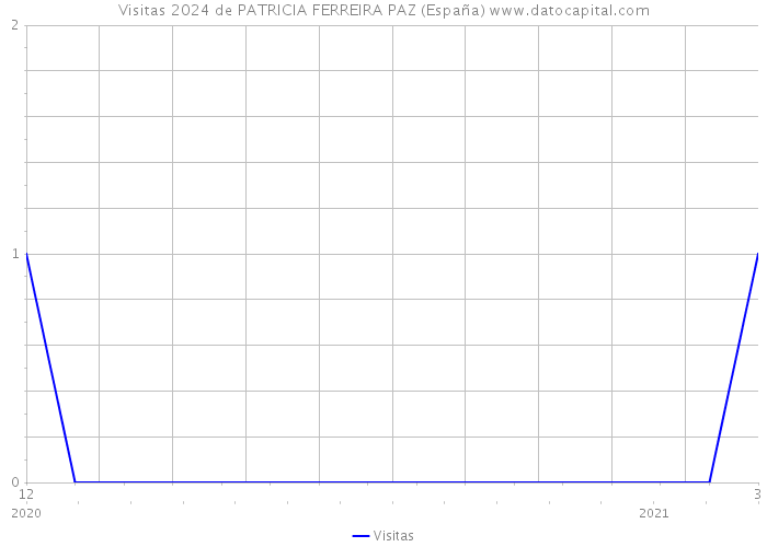 Visitas 2024 de PATRICIA FERREIRA PAZ (España) 