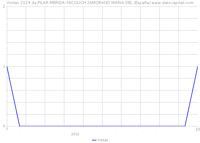Visitas 2024 de PILAR MERIDA-NICOLICH ZAMORANO MARIA DEL (España) 