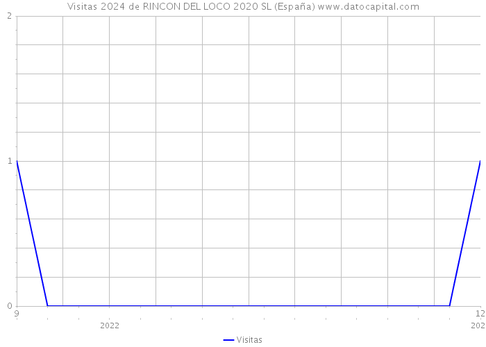 Visitas 2024 de RINCON DEL LOCO 2020 SL (España) 