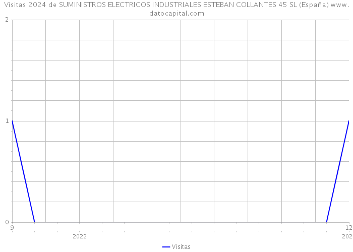 Visitas 2024 de SUMINISTROS ELECTRICOS INDUSTRIALES ESTEBAN COLLANTES 45 SL (España) 
