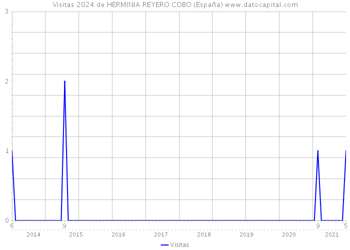 Visitas 2024 de HERMINIA REYERO COBO (España) 