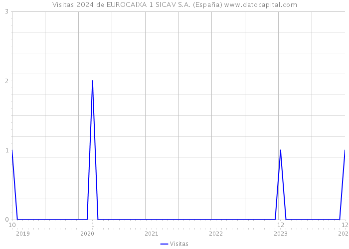 Visitas 2024 de EUROCAIXA 1 SICAV S.A. (España) 