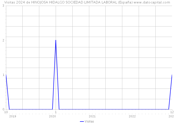 Visitas 2024 de HINOJOSA HIDALGO SOCIEDAD LIMITADA LABORAL (España) 