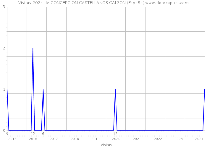 Visitas 2024 de CONCEPCION CASTELLANOS CALZON (España) 