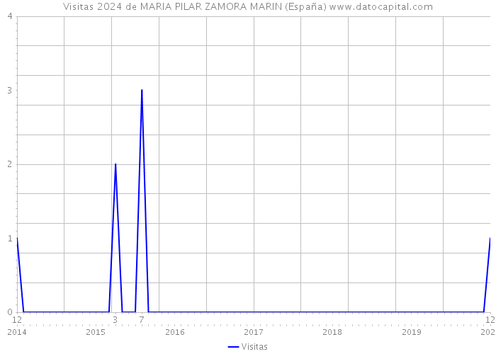 Visitas 2024 de MARIA PILAR ZAMORA MARIN (España) 