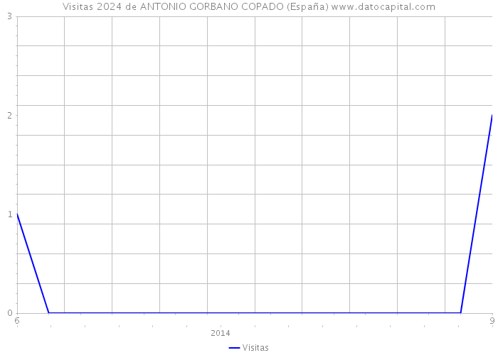 Visitas 2024 de ANTONIO GORBANO COPADO (España) 