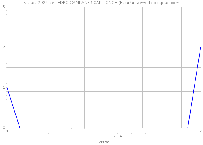Visitas 2024 de PEDRO CAMPANER CAPLLONCH (España) 