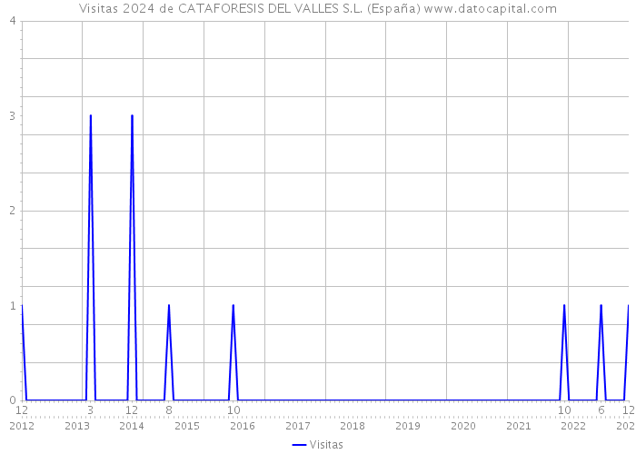 Visitas 2024 de CATAFORESIS DEL VALLES S.L. (España) 