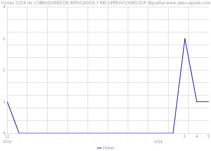 Visitas 2024 de COBRADORES DE IMPAGADOS Y RECUPERACIONES SCP (España) 