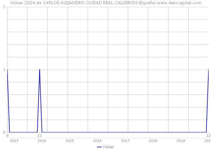 Visitas 2024 de CARLOS ALEJANDRO CIUDAD REAL CALDERON (España) 