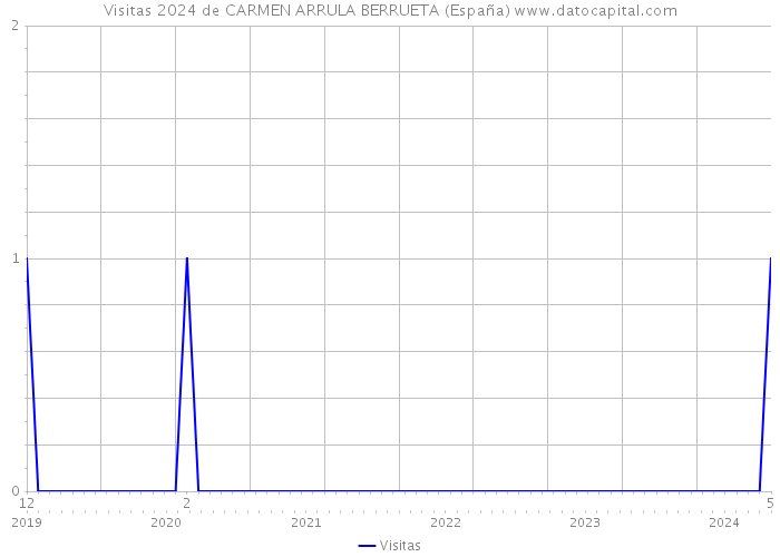 Visitas 2024 de CARMEN ARRULA BERRUETA (España) 