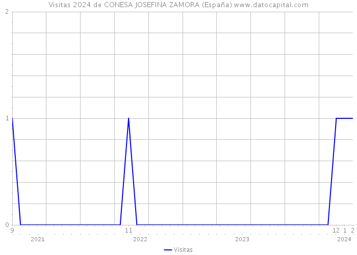 Visitas 2024 de CONESA JOSEFINA ZAMORA (España) 