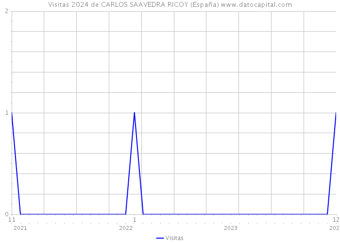 Visitas 2024 de CARLOS SAAVEDRA RICOY (España) 