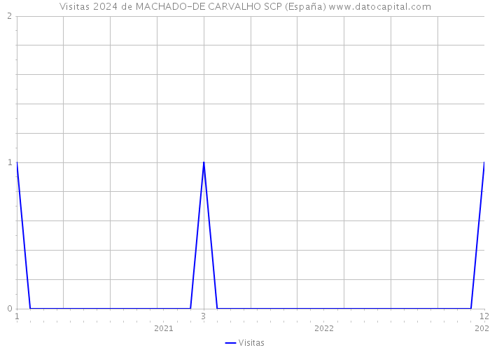 Visitas 2024 de MACHADO-DE CARVALHO SCP (España) 