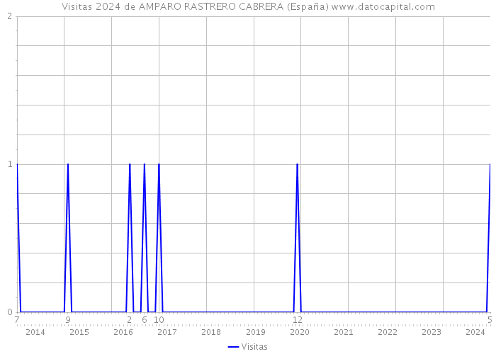 Visitas 2024 de AMPARO RASTRERO CABRERA (España) 