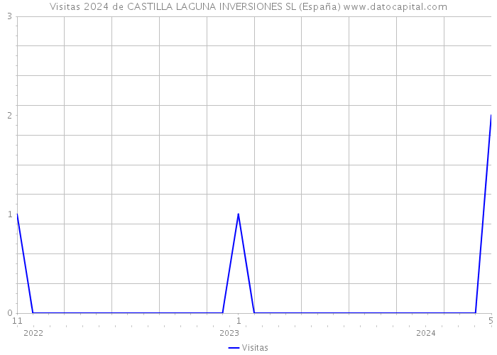 Visitas 2024 de CASTILLA LAGUNA INVERSIONES SL (España) 