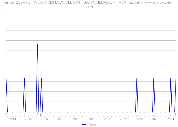 Visitas 2024 de INVERSIONES LOBO DEL CASTILLO SOCIEDAD LIMITADA. (España) 